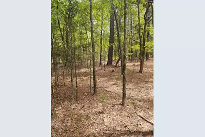 1109 Hopewell Church Road, Irmo, SC 29063 - Photo 10