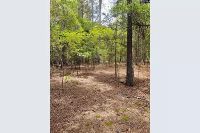 1109 Hopewell Church Road, Irmo, SC 29063 - Photo 4