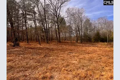 0 Myers Lane Myers Lane, Saint Matthews, SC 29135 - Photo 1