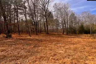 0 Myers Ln Myers Ln, Saint Matthews, SC 29135 - Photo 1