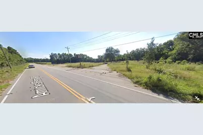 1304 Amicks Ferry Road, Chapin, SC 29036 - Photo 2