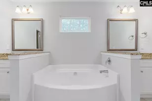 147 Ventnor Ave, Chapin, SC 29036 - Photo 14