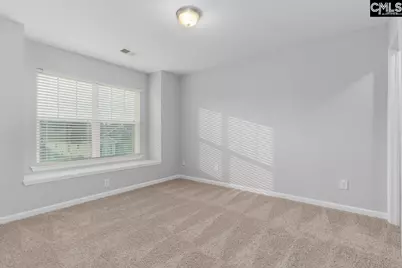 147 Ventnor Avenue, Chapin, SC 29036 - Photo 26