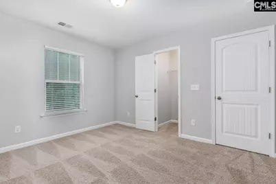 147 Ventnor Avenue, Chapin, SC 29036 - Photo 16