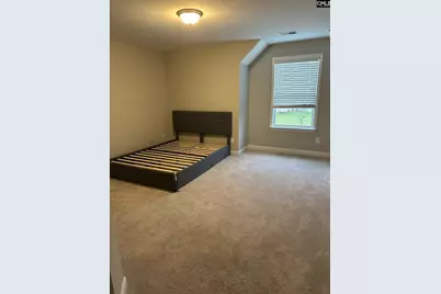 559 Malachite Lane, Chapin, SC 29036 - Photo 12