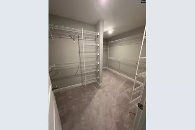 559 Malachite Lane, Chapin, SC 29036 - Photo 10