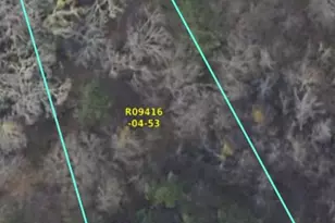 1026 Pineland Dr, Columbia, SC 29203 - Photo 1