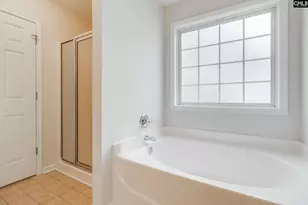 414 Long Needle Rd, Columbia, SC 29229 - Photo 18