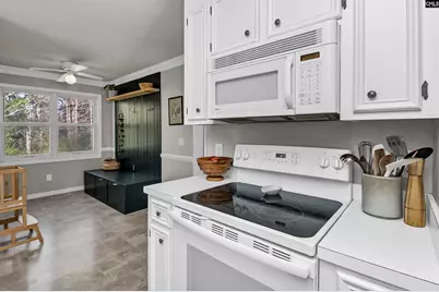 237 Mossborough Drive, Lexington, SC 29073 - Photo 10