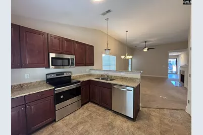 238 Dawsons Park Drive, Lexington, SC 29072 - Photo 8