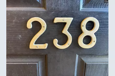 238 Dawsons Park Drive, Lexington, SC 29072 - Photo 2