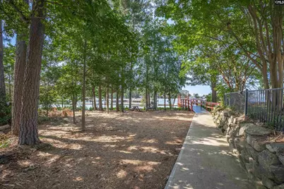 348 Amalfi Drive, Chapin, SC 29036 - Photo 38