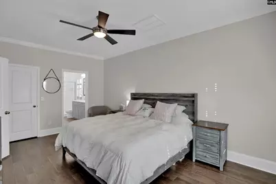 348 Amalfi Drive, Chapin, SC 29036 - Photo 14