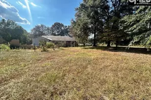 104 Saxton, Norway, SC 29113 - Photo 4