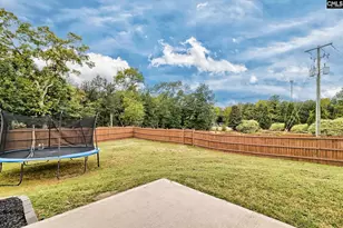 34 Haigler Ct, Elgin, SC 29045 - Photo 28