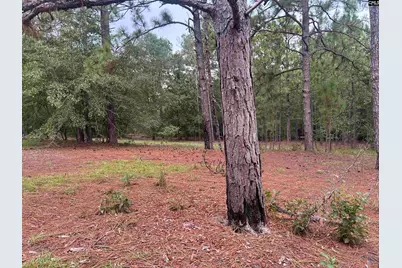 1100 Lassiter Jacob Rd, Eastover, SC 29044 - Photo 12