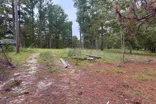 1100 Lassiter Jacob Rd, Eastover, SC 29044 - Photo 18