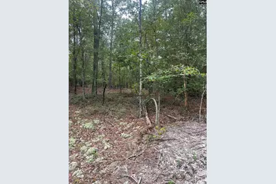 1100 Lassiter Jacob Rd, Eastover, SC 29044 - Photo 20