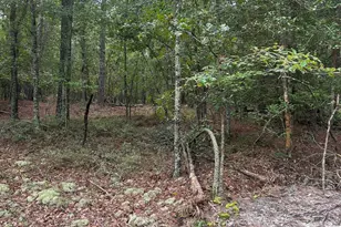 1100 Lassiter Jacob Rd, Eastover, SC 29044 - Photo 20