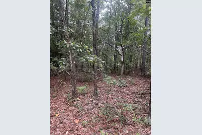 1100 Lassiter Jacob Rd, Eastover, SC 29044 - Photo 22