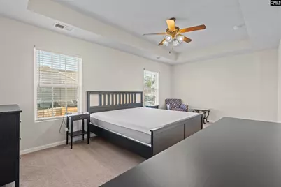 108 Pennsylvania Court, Chapin, SC 29036 - Photo 18