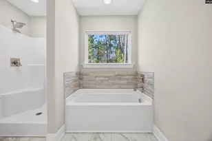 509 Links Pointe Ct, Chapin, SC 29036 - Photo 72