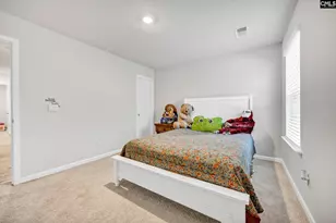 244 Rushton Dr, Chapin, SC 29036 - Photo 26