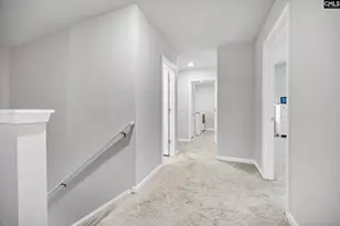 244 Rushton Dr, Chapin, SC 29036 - Photo 18