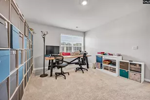 244 Rushton Dr, Chapin, SC 29036 - Photo 28