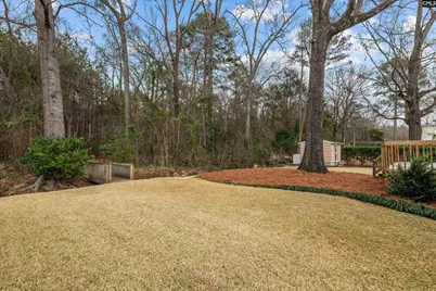 407 Serpentine Road, Irmo, SC 29063 - Photo 30