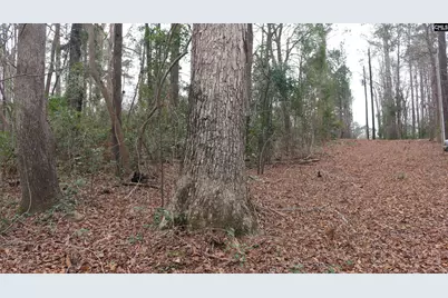 291 Big Timber Drive #16, Lexington, SC 29073 - Photo 8