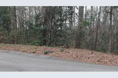 291 Big Timber Drive #16, Lexington, SC 29073 - Photo 12