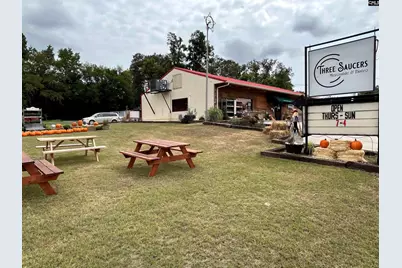 8291 Savannah Highway, Norway, SC 29113 - Photo 2