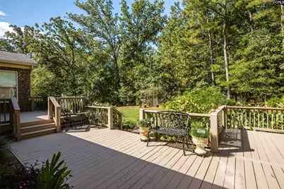 212 Renard Roux Court, Gilbert, SC 29054 - Photo 18