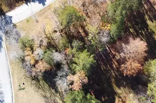 101 Summer Branch Lane, Irmo, SC 29063 - Photo 4