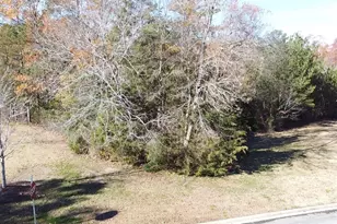 101 Summer Branch Lane, Irmo, SC 29063 - Photo 6