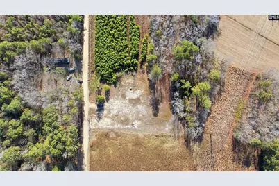 1445 Victory Lane, Scranton, SC 29591 - Photo 2