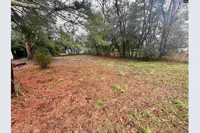 338 Ben Street, Sumter, SC 29150 - Photo 4