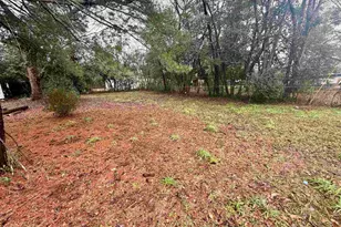 338 Ben St, Sumter, SC 29150 - Photo 4