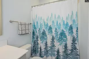 905 Windchase Wy, Blythewood, SC 29016 - Photo 38