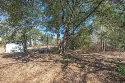 1114 West Street, Elgin, SC 29045 - Photo 40