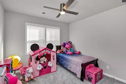 531 Rhine Falls Lane, Blythewood, SC 29016 - Photo 26