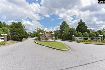 118 Whitton Court, Lexington, SC 29073 - Photo 44