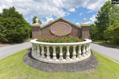118 Whitton Court, Lexington, SC 29073 - Photo 40