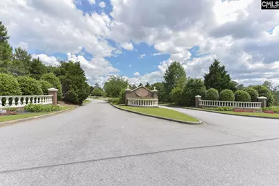 118 Whitton Court, Lexington, SC 29073 - Photo 46