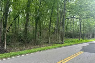 Mill Rd, Little Mountain, SC 29075 - Photo 1