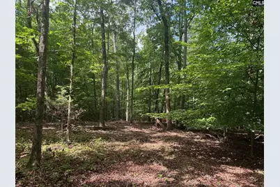 Mill Road, Little Mountain, SC 29075 - Photo 6