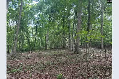 Mill Road, Little Mountain, SC 29075 - Photo 2