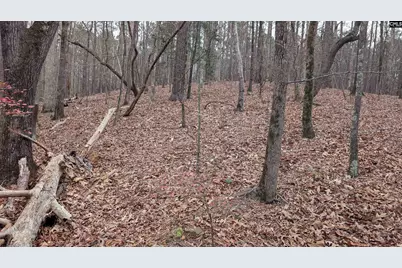 Lots B &amp; C Miller Road #B and C, Camden, SC 29020 - Photo 22