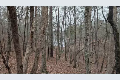 Lots B &amp; C Miller Road #B and C, Camden, SC 29020 - Photo 20